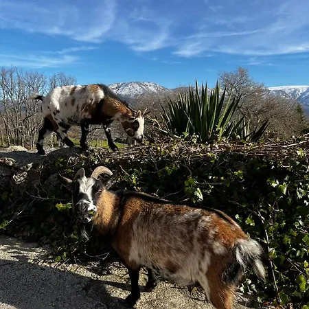 Casa vacanze El Molinero