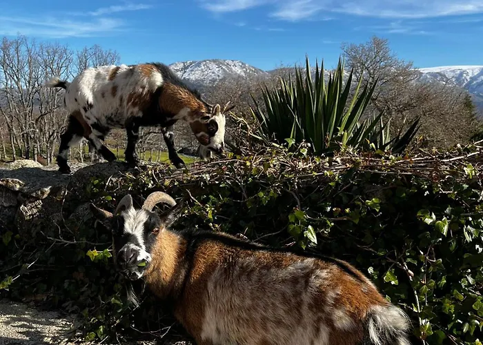 Сasa de vacaciones El Molinero